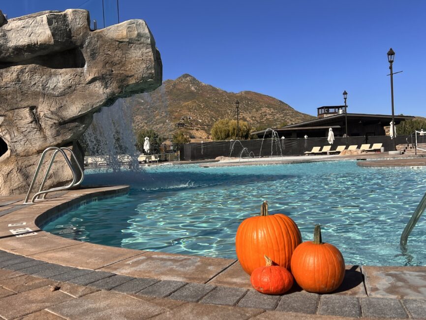 Homestead outdoors pool and pumpkins