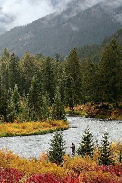 Utah forest and river landscape