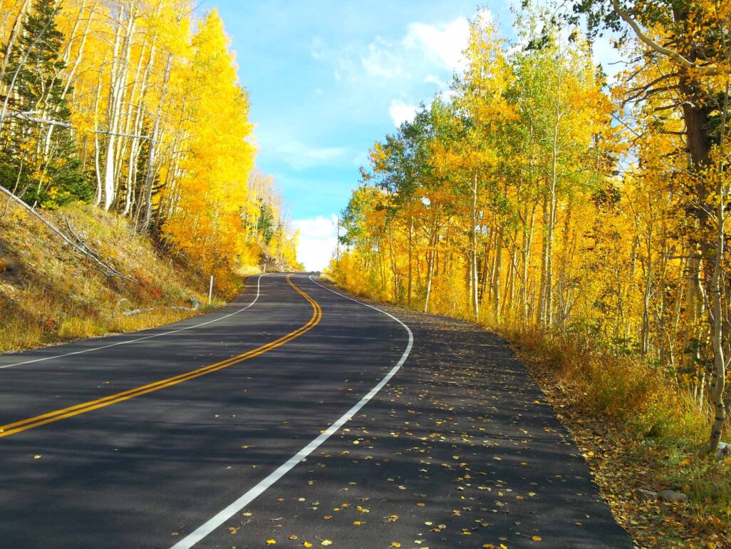Scenic Fall Rides at Homestead